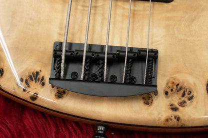 [New] AV Basses / AVJ5M BURL POPLAR # 2021-14 3.98 kg [Yokohama store]