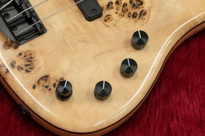 [New] AV Basses / AVJ5M BURL POPLAR # 2021-14 3.98 kg [Yokohama store]