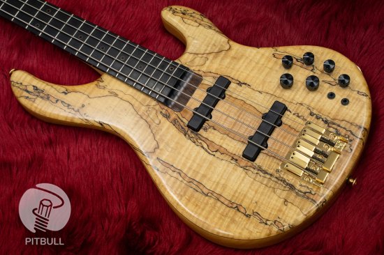 [USED] STR GUITARS / LS449 # 293 3.76kg [Yokohama Store]