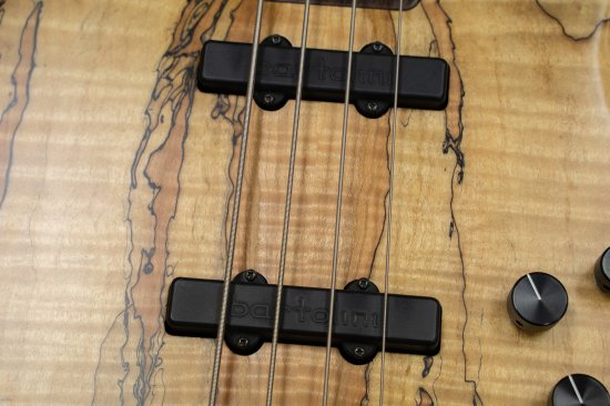 [USED] STR GUITARS / LS449 # 293 3.76kg [Yokohama Store]