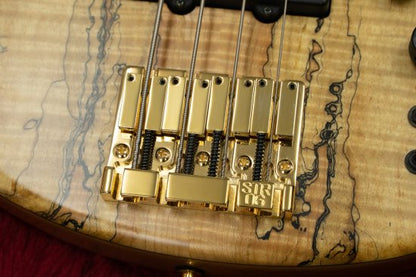 [USED] STR GUITARS / LS449 # 293 3.76kg [Yokohama Store]
