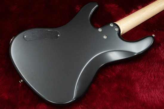 New] Freedom Custom Guitar Research / Anthra 4st SDB