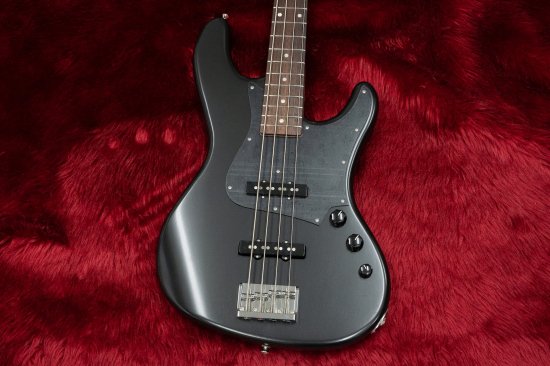 New] Freedom Custom Guitar Research / Anthra 4st SDB