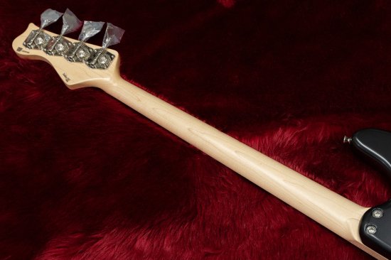 New] Freedom Custom Guitar Research / Anthra 4st SDB