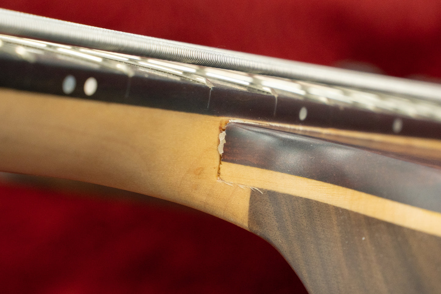 [official outlet] AV BASSES / AVS5 #AVS-2022-05 5.05kg [Yokohama Store]
