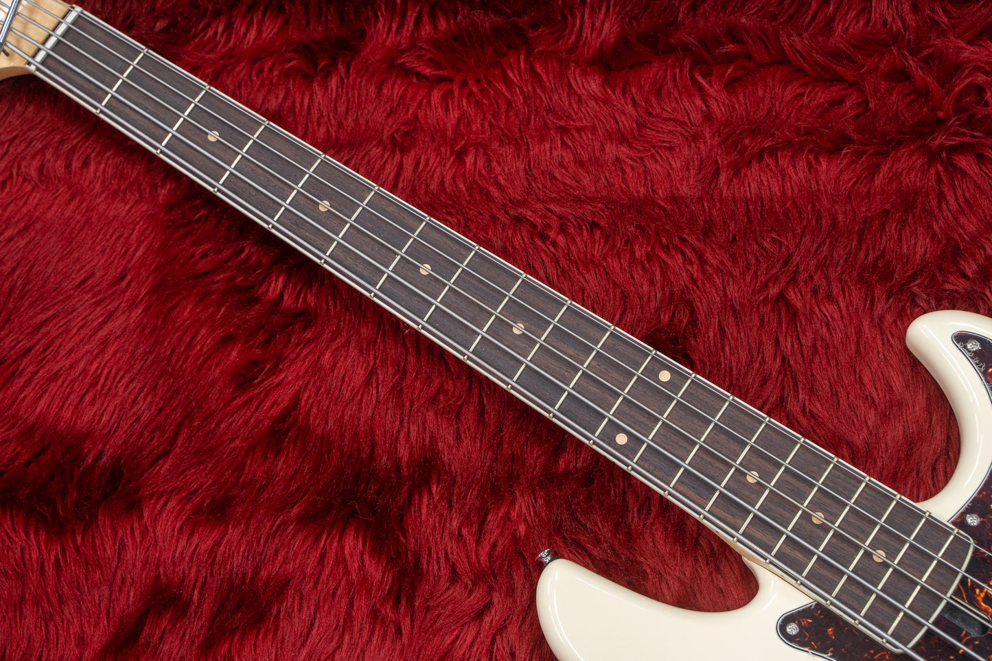[new] AV BASSES / AVPJ5 #2020-20 4.225kg [yokohama store]