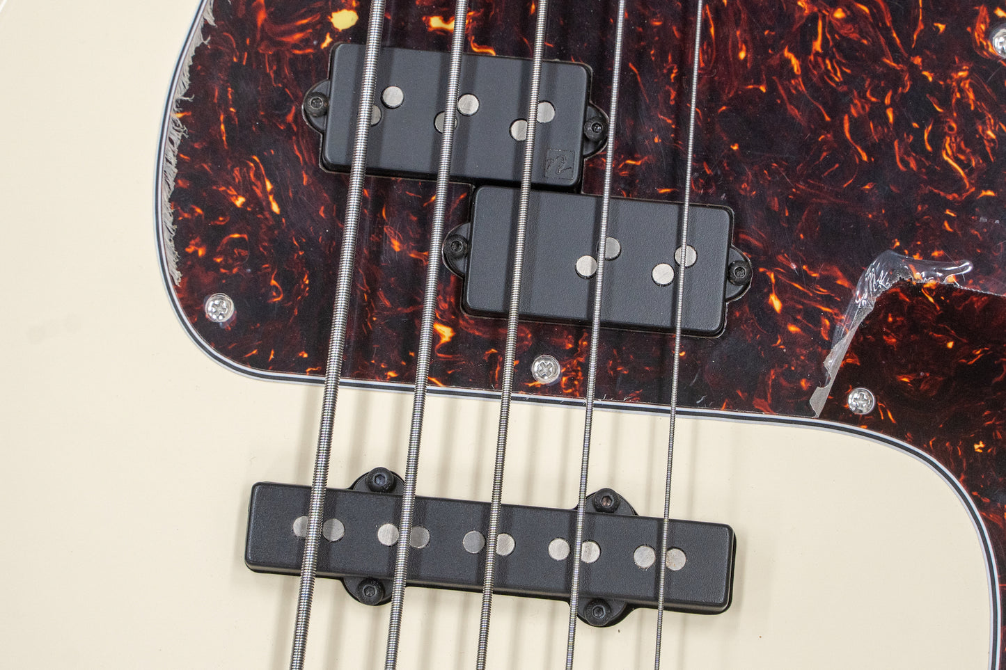 [new] AV BASSES / AVPJ5 #2020-20 4.225kg [yokohama store]