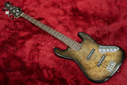 [new] Bacchus / WJB-BP Act BK-B【GIB Hyogo】