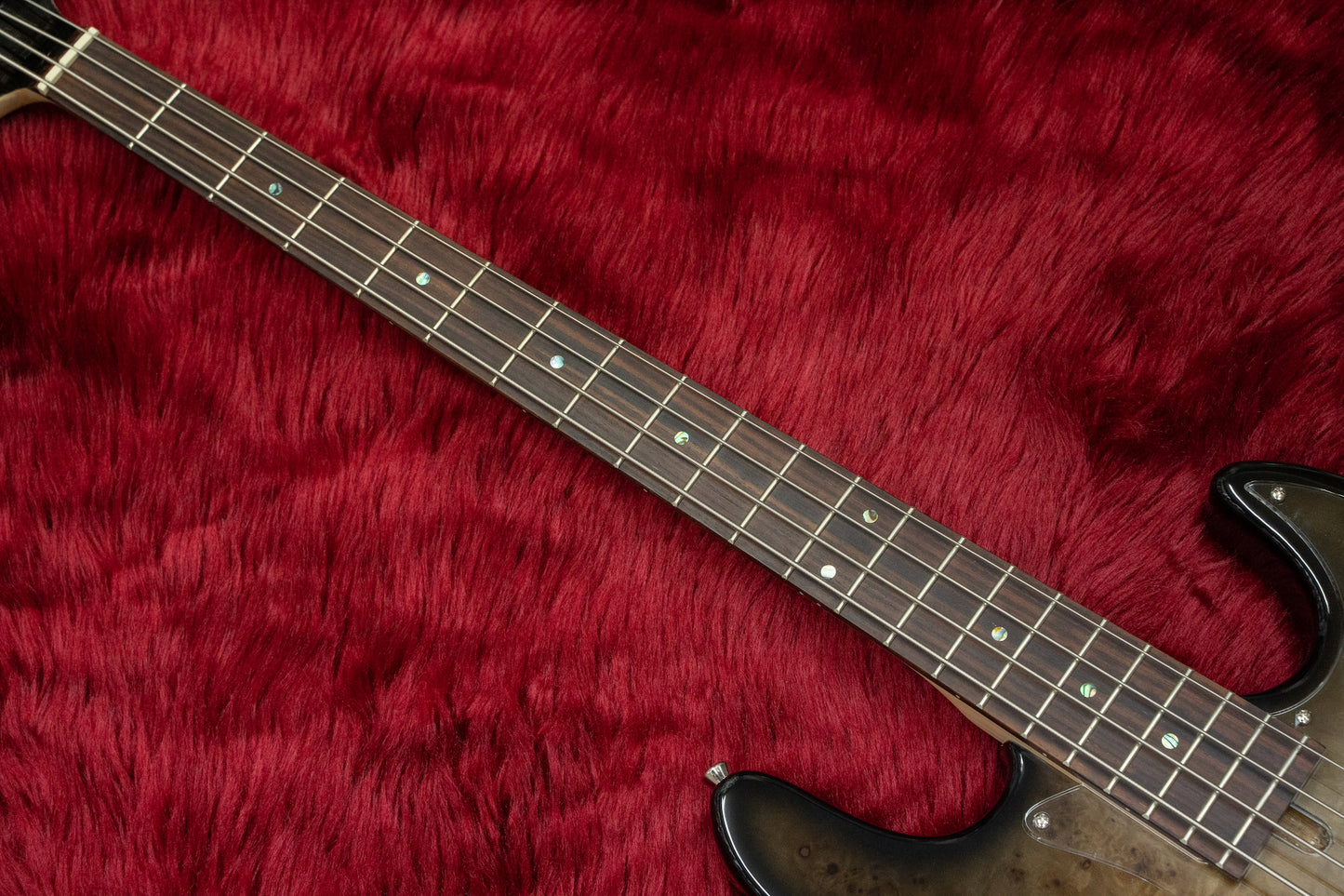 [new] Bacchus / WJB-BP Act BK-B【GIB Hyogo】