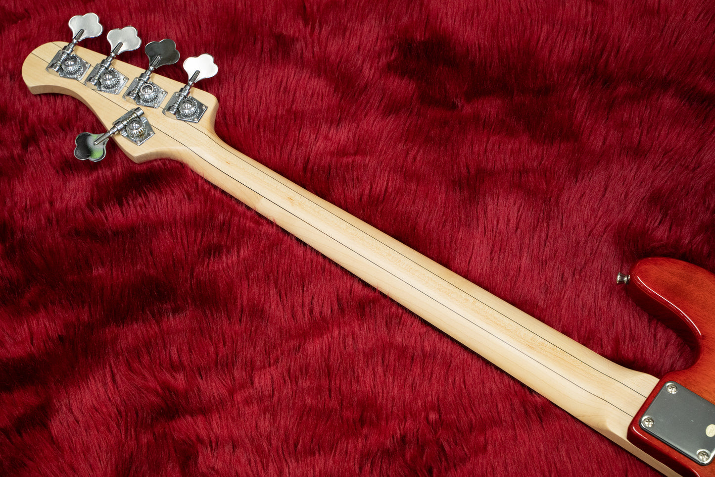 [new] Bacchus WJB5-BP ACT RD-B [Hyogo store]