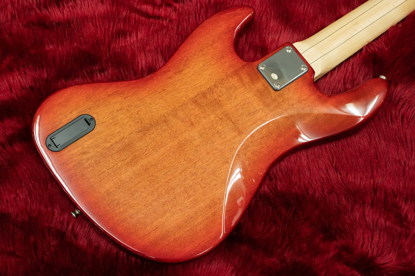 [new] Bacchus WJB5-BP ACT RD-B [Hyogo store]