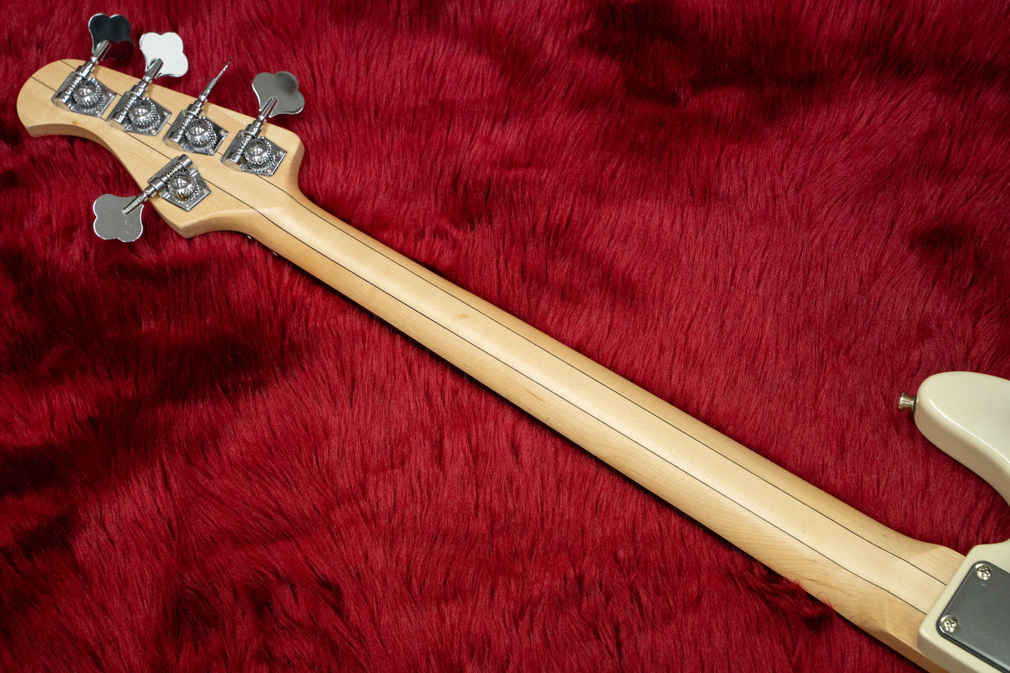 [new] Bacchus WJB5-BP ACT BD-B [Hyogo store]