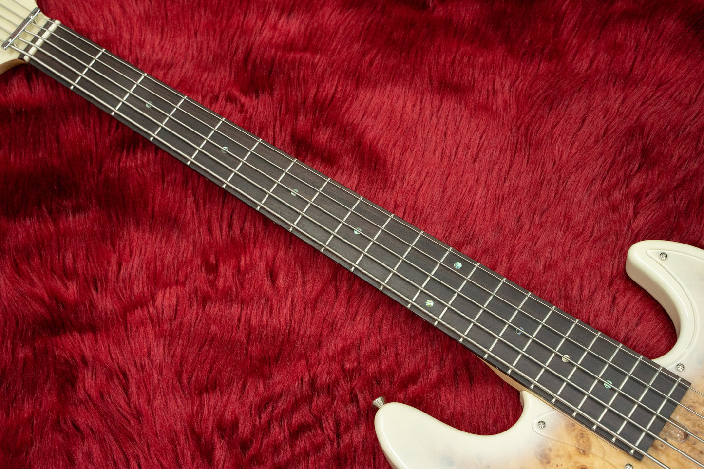 [new] Bacchus WJB5-BP ACT BD-B [Hyogo store]