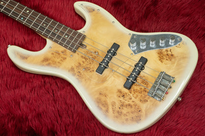 [new] Bacchus / WJB-BP Act BD-B [Hyogo store]