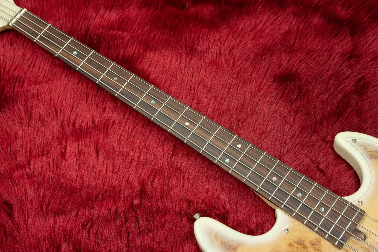 [new] Bacchus / WJB-BP Act BD-B [Hyogo store]