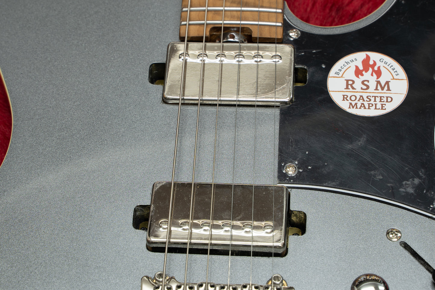 [New] Bacchus / TACTICS24-STD/RSM Gun-M [Yokohama Store]