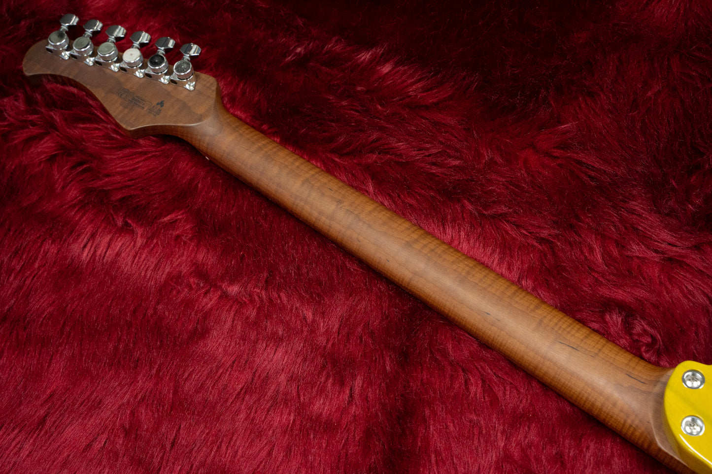 [New] Bacchus / TACTICS24-ASH/RSM BD [Yokohama Store]