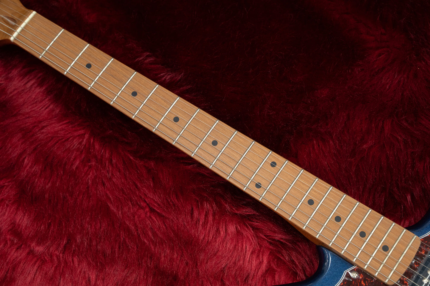 [New] Bacchus / BJM-3-RSM/M DLPB  [Hyogo store]