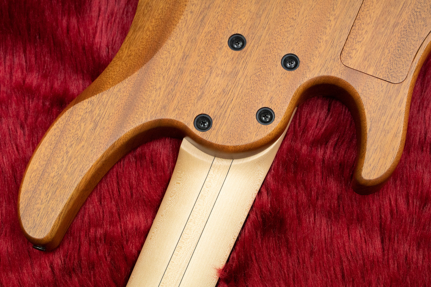[Outlet] Swan Custom Bass / Alpha Special 5-String Bubinga Top Fretless #AL2201152 4.38kg [Yokohama Store]