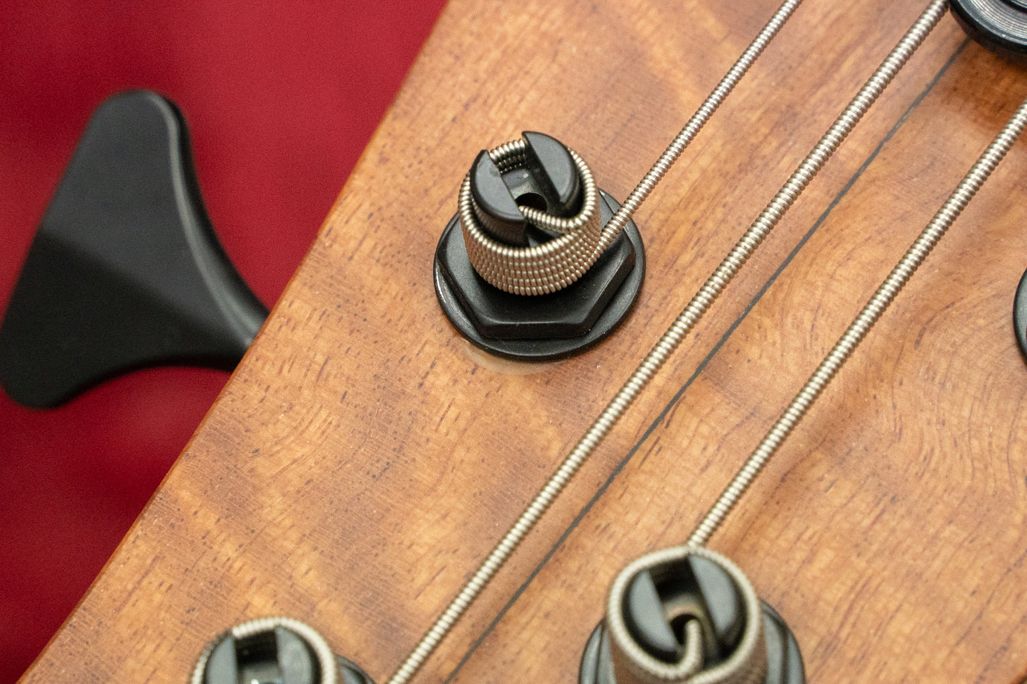 [Outlet] Swan Custom Bass / Alpha Special 5-String Bubinga Top Fretless #AL2201152 4.38kg [Yokohama Store]