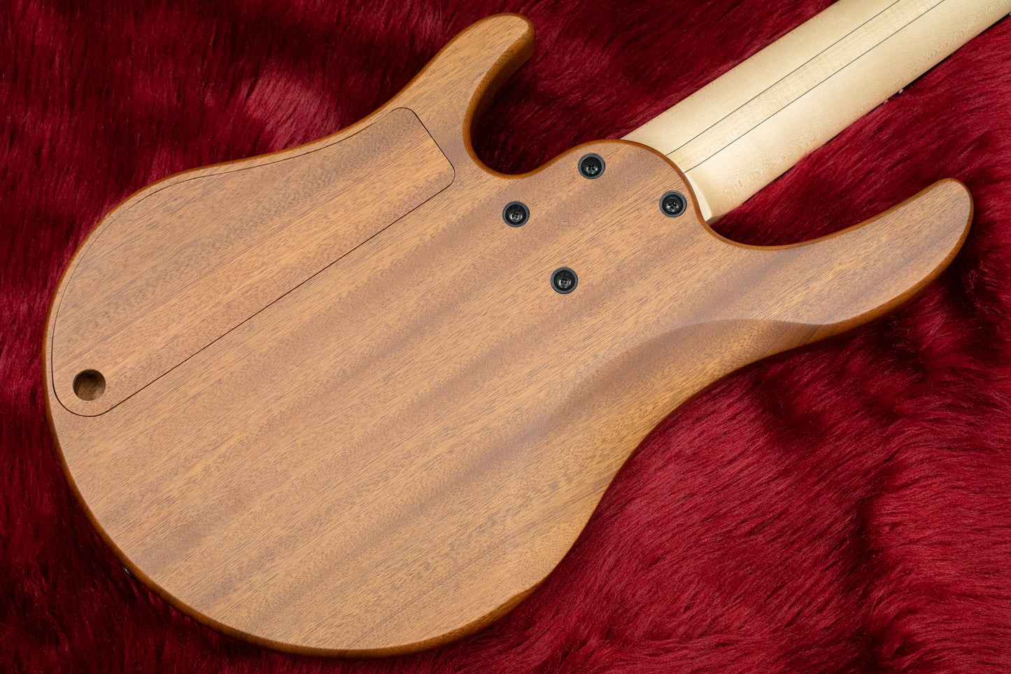 [Outlet] Swan Custom Bass / Alpha Special 5-String Bubinga Top Fretless #AL2201152 4.38kg [Yokohama Store]