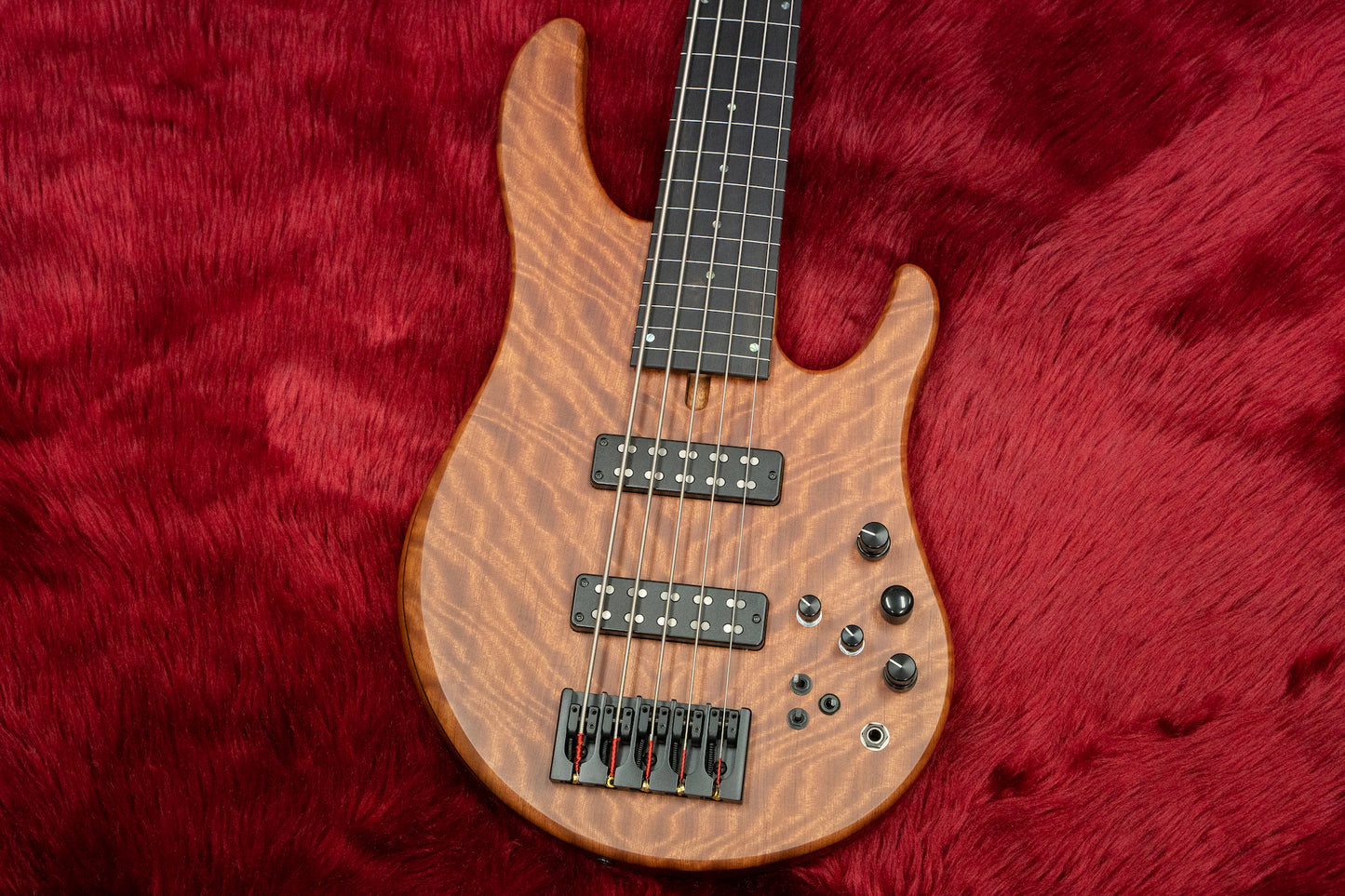 [Outlet] Swan Custom Bass / Alpha Special 5-String Bubinga Top Fretless #AL2201152 4.38kg [Yokohama Store]