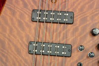 [Outlet] Swan Custom Bass / Alpha Special 5-String Bubinga Top Fretless #AL2201152 4.38kg [Yokohama Store]