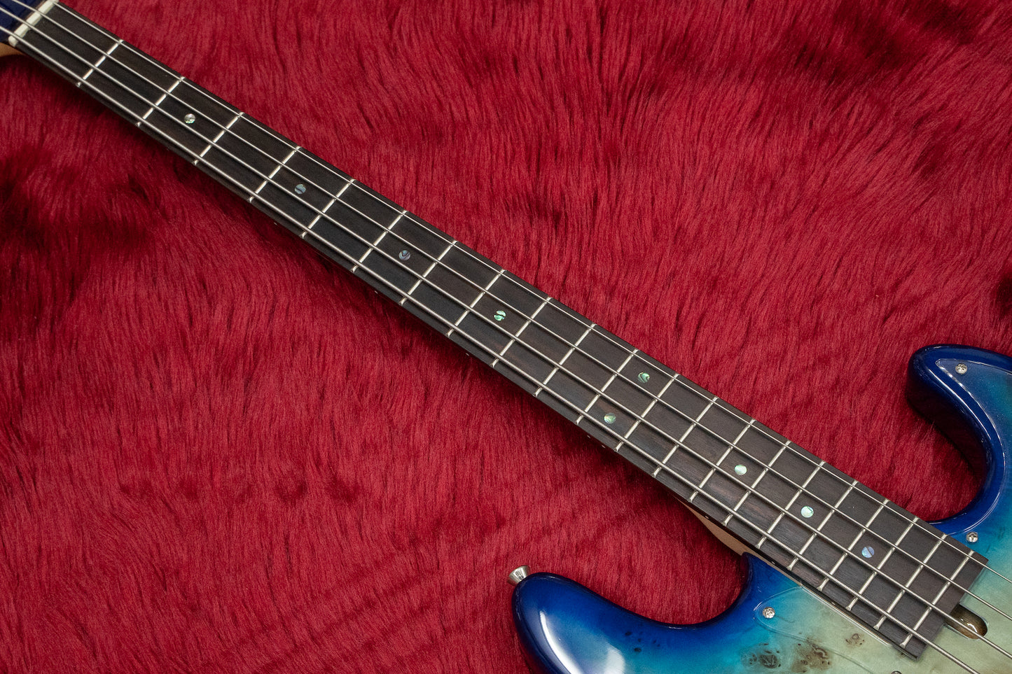 [new] Bacchus / WJB-BP Act BL-B  [Hyogo store]