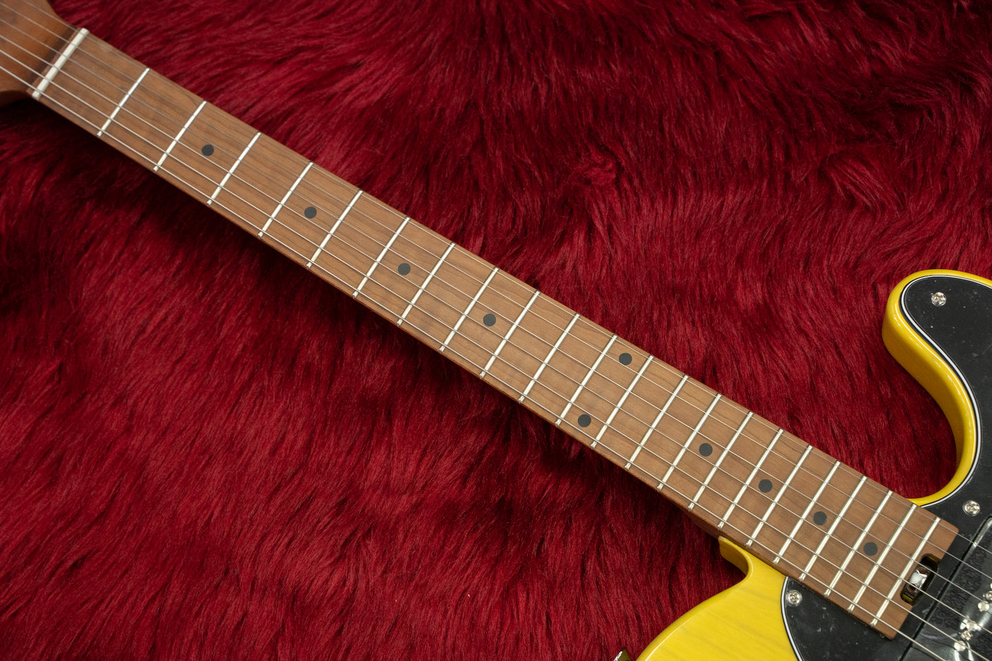 [new] Bacchus / TACTICS-ASH/RSM BD 3.67kg [yokohama store]