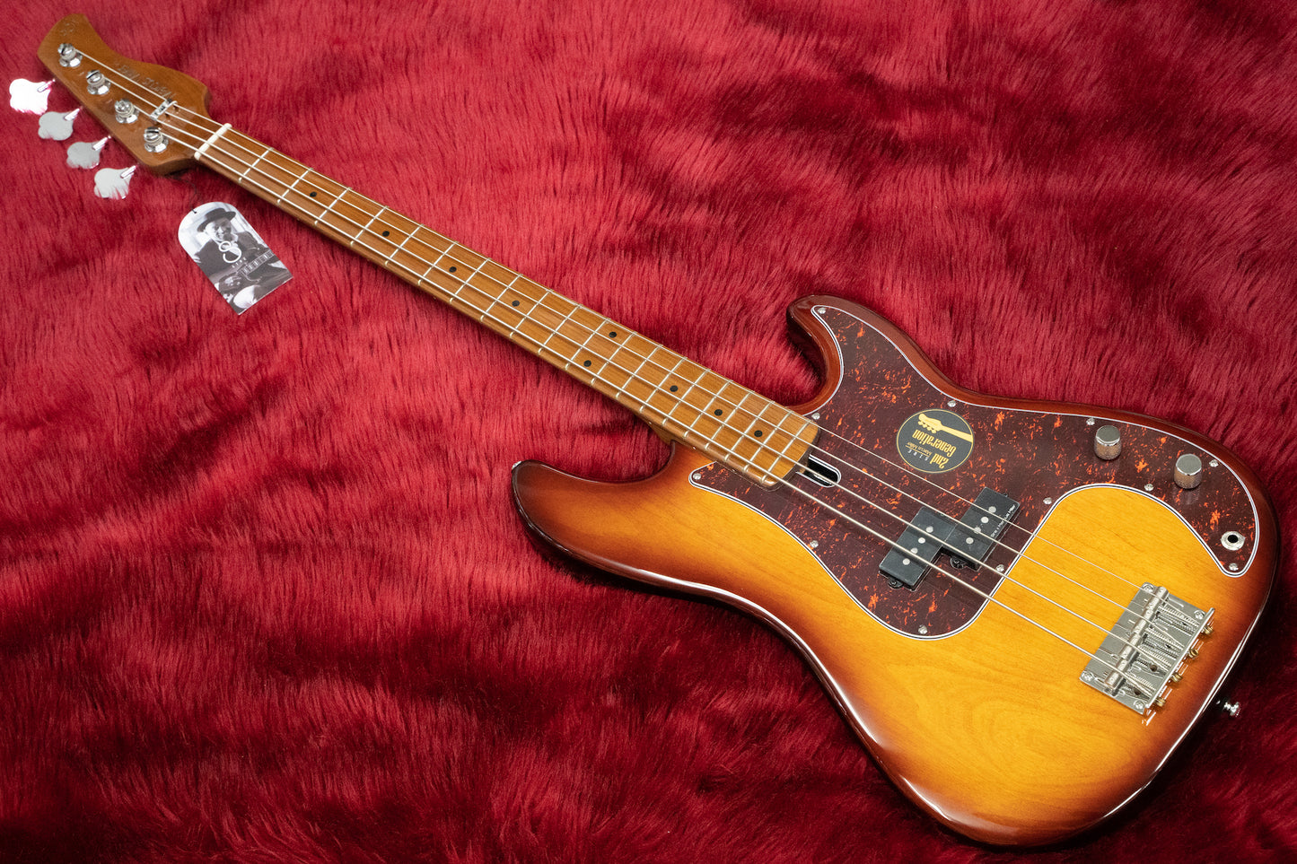 [new] Sire / P5 Alder 4st #2N22590034 4.3kg [Yokohama]