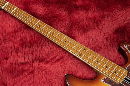 [new] Sire / P5 Alder 4st #2N22590034 4.3kg [Yokohama]