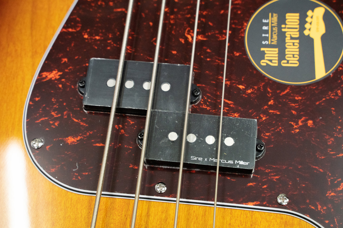[new] Sire / P5 Alder 4st #2N22590034 4.3kg [Yokohama]