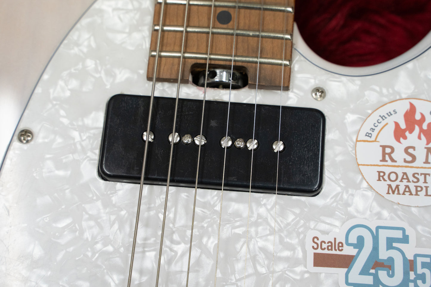 [outlet]Bacchus / TACTICS-STD/RSM S-SW Head, Neck Scratches #GI02890 3.55kg [Yokohama Store]