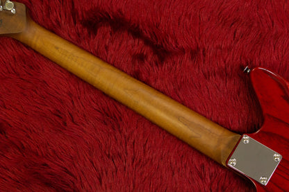 [outlet] Bacchus / WINDY-ASH/RSM STR カッタウェイチリ混入 #GI07283 4.27kg [yokohama store]