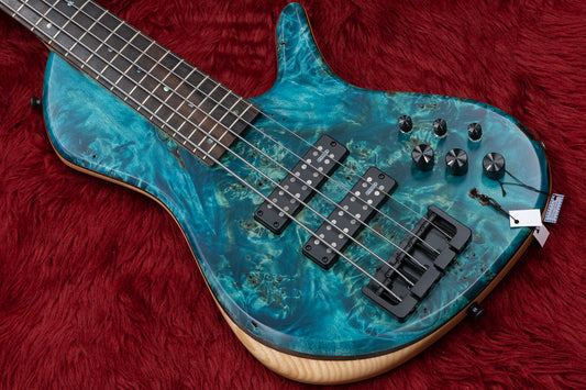 [new] Capurso Guitars / Georgius Deluxe 5st #2022013 3.93kg [yokohama store]