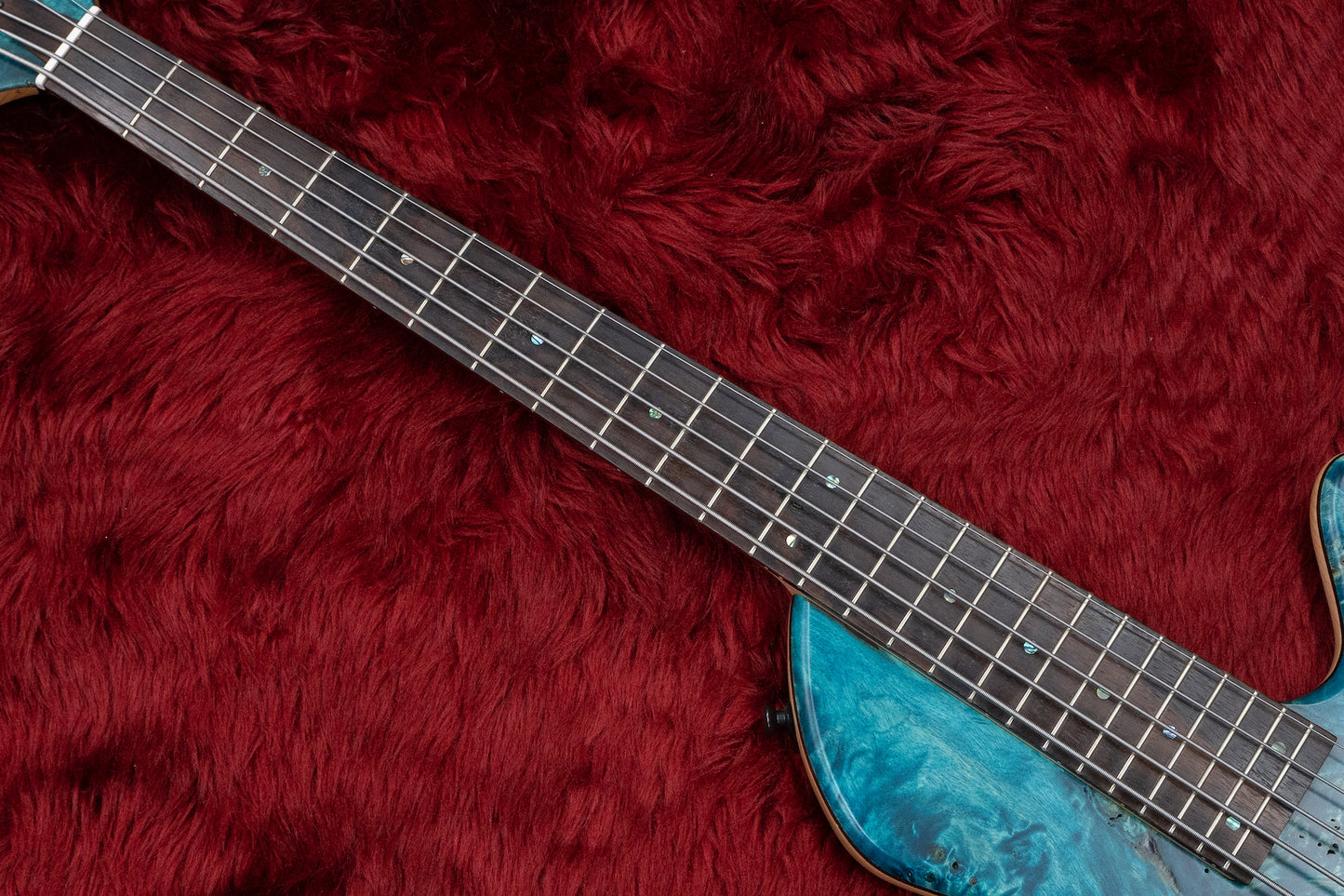 [new] Capurso Guitars / Georgius Deluxe 5st #2022013 3.93kg [yokohama store]