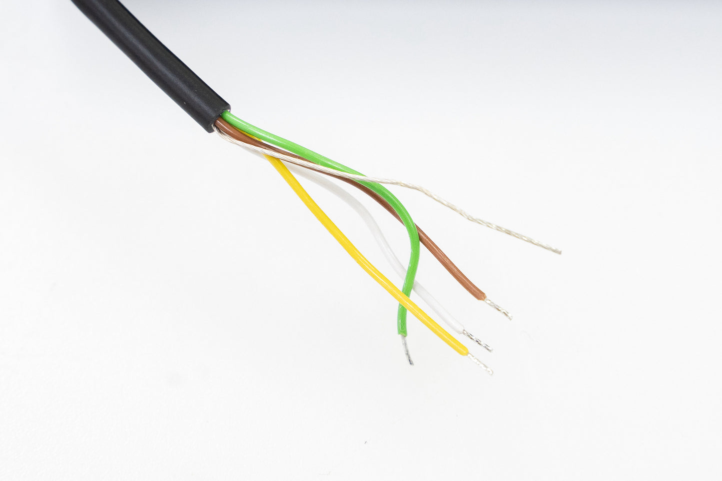 [new] Delano / MC 5 FE/EB [yokohama store]