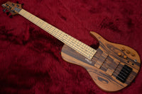 [new] D'mark Guitars / OMEGA 5C MASTER SERIES #22H 0001 4.35kg [yokohama store]