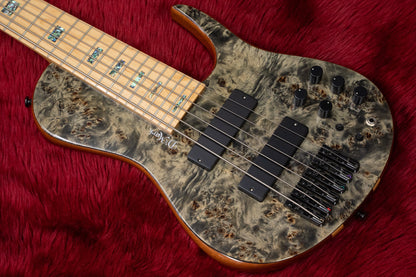 [new] D'mark Guitars / OMEGA 6C MASTER SERIES #22I 0003 4.81kg [Yokohama-store]