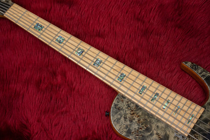 [new] D'mark Guitars / OMEGA 6C MASTER SERIES #22I 0003 4.81kg [Yokohama-store]