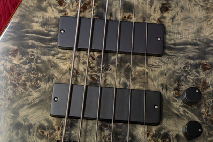 [new] D'mark Guitars / OMEGA 6C MASTER SERIES #22I 0003 4.81kg [Yokohama-store]