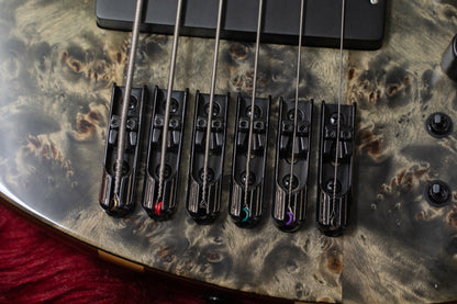 [new] D'mark Guitars / OMEGA 6C MASTER SERIES #22I 0003 4.81kg [Yokohama-store]