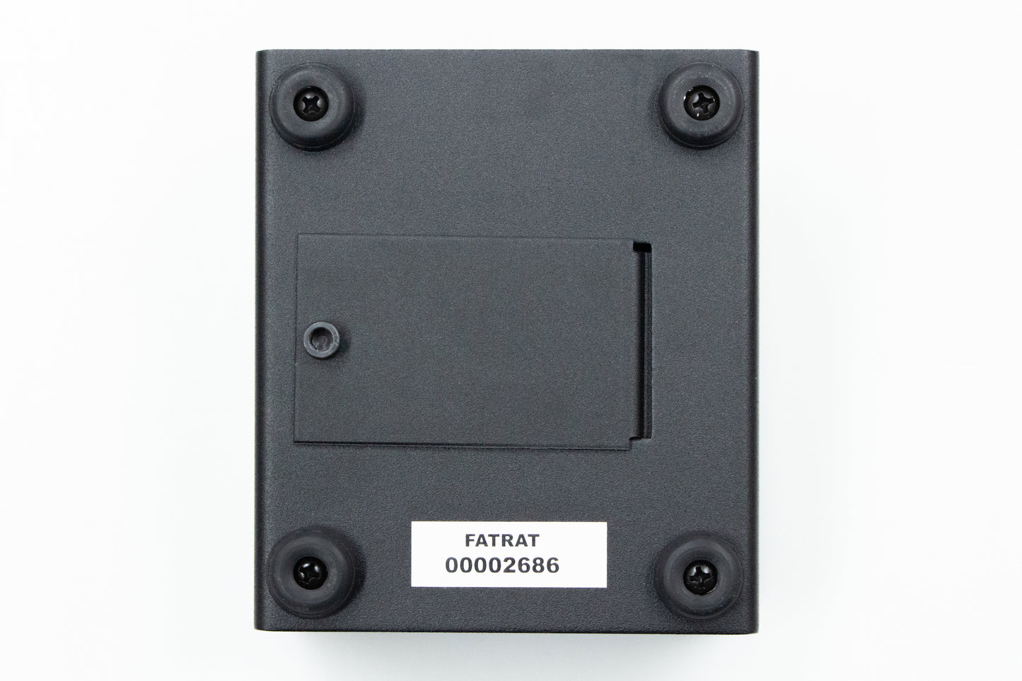 [new] PROCO / FAT RAT [yokohama store]