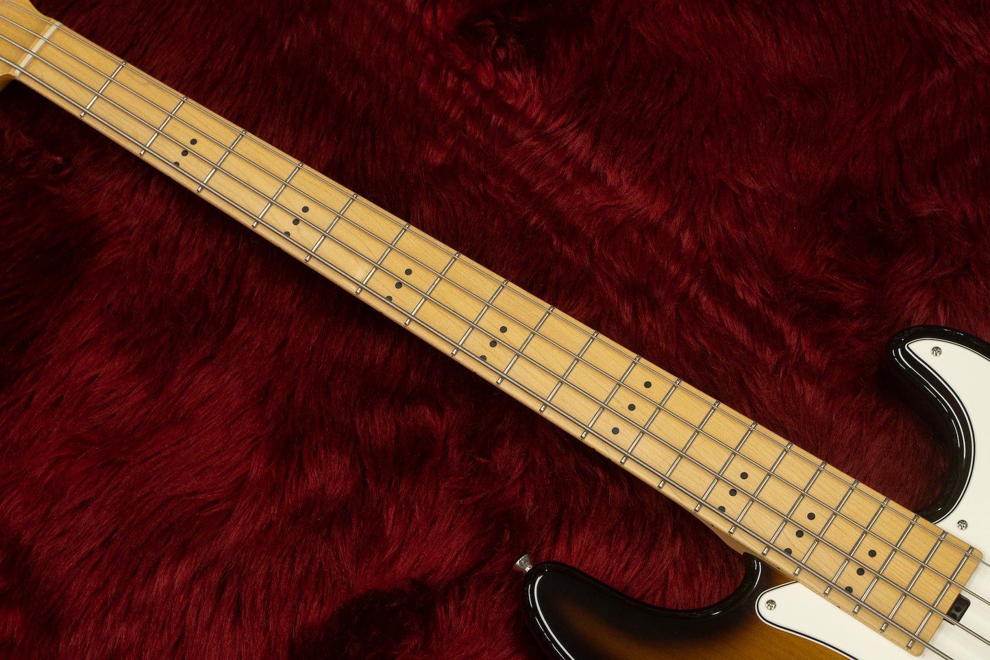 [new] Three Dots / PB TCB/M #T393 EMG Les Claypool PU #T393 3.91kg [Yokohama]
