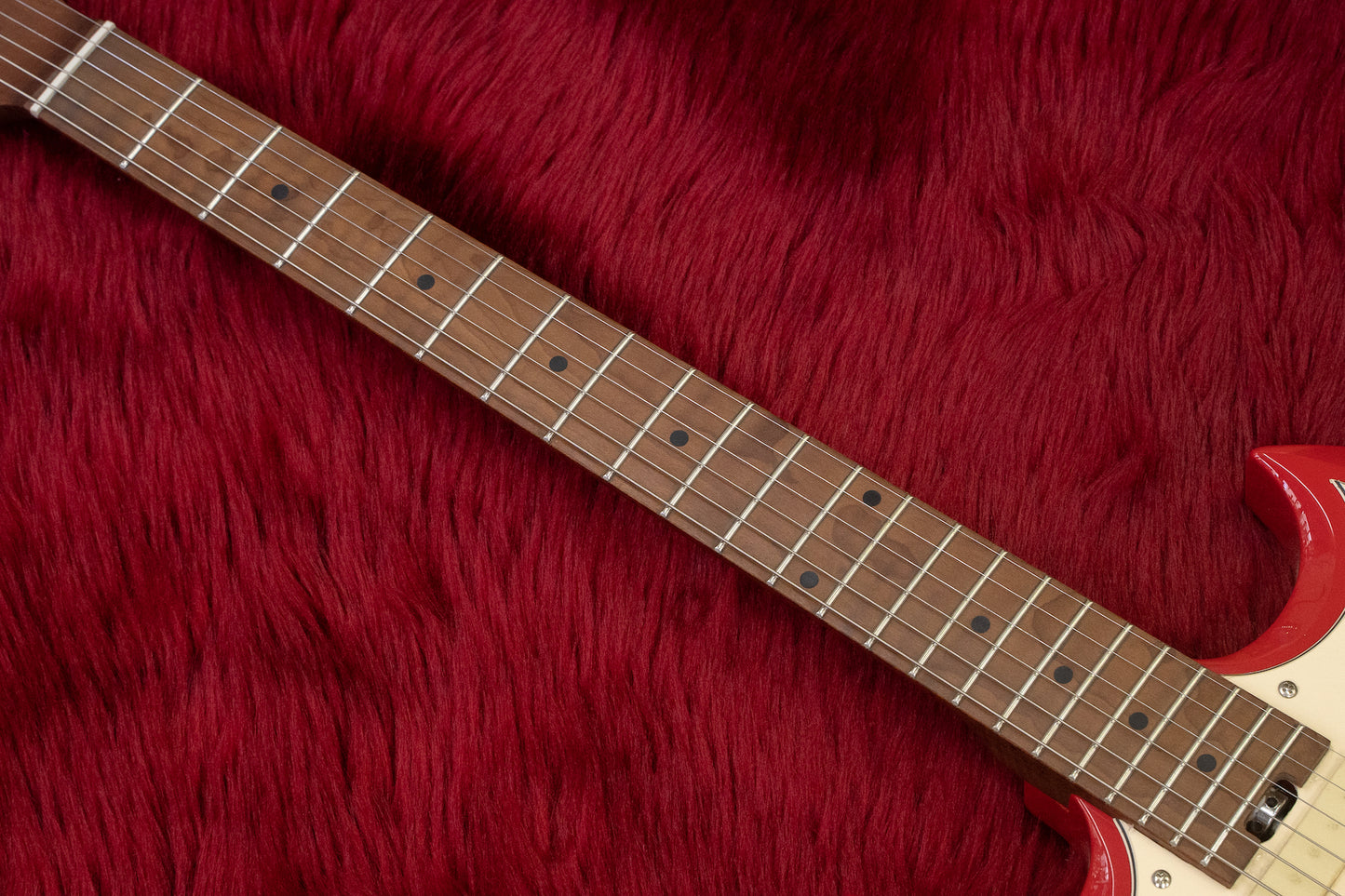 [new] Bacchus / BSM-STD/RSM FR [yokohama store]