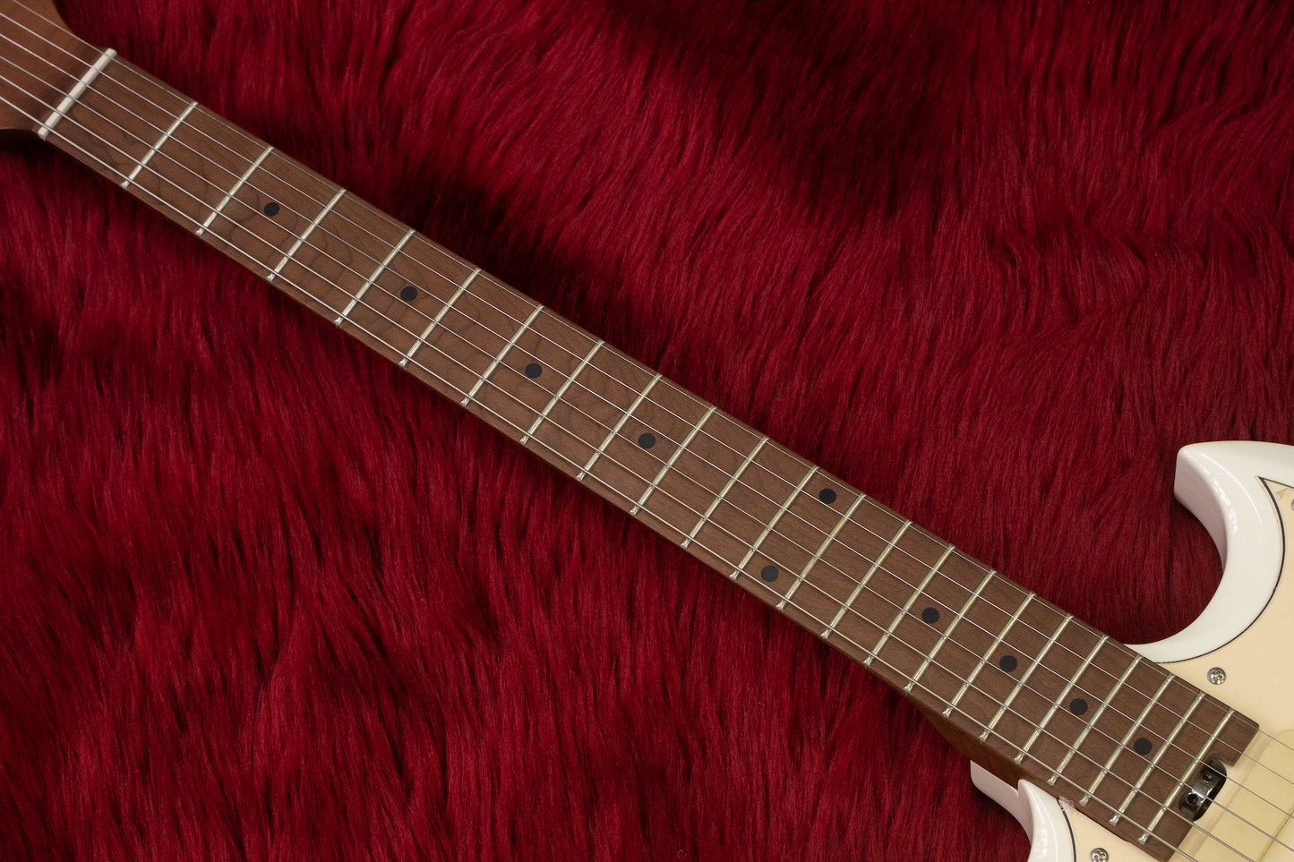 [new] Bacchus / BSM-STD/RSM OWH 3.25kg [yokohama store]