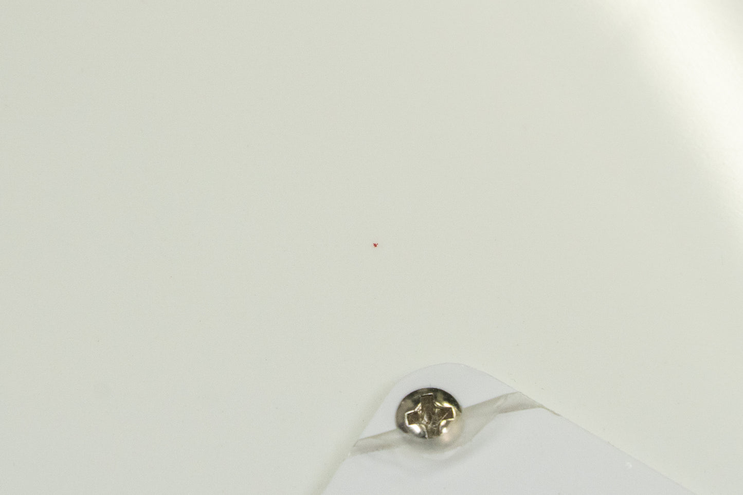 [Outlet] Bacchus / BSH-850/RSM WH Red Back End Paint Fingerboard End Crack #GI02439 [Yokohama Store]