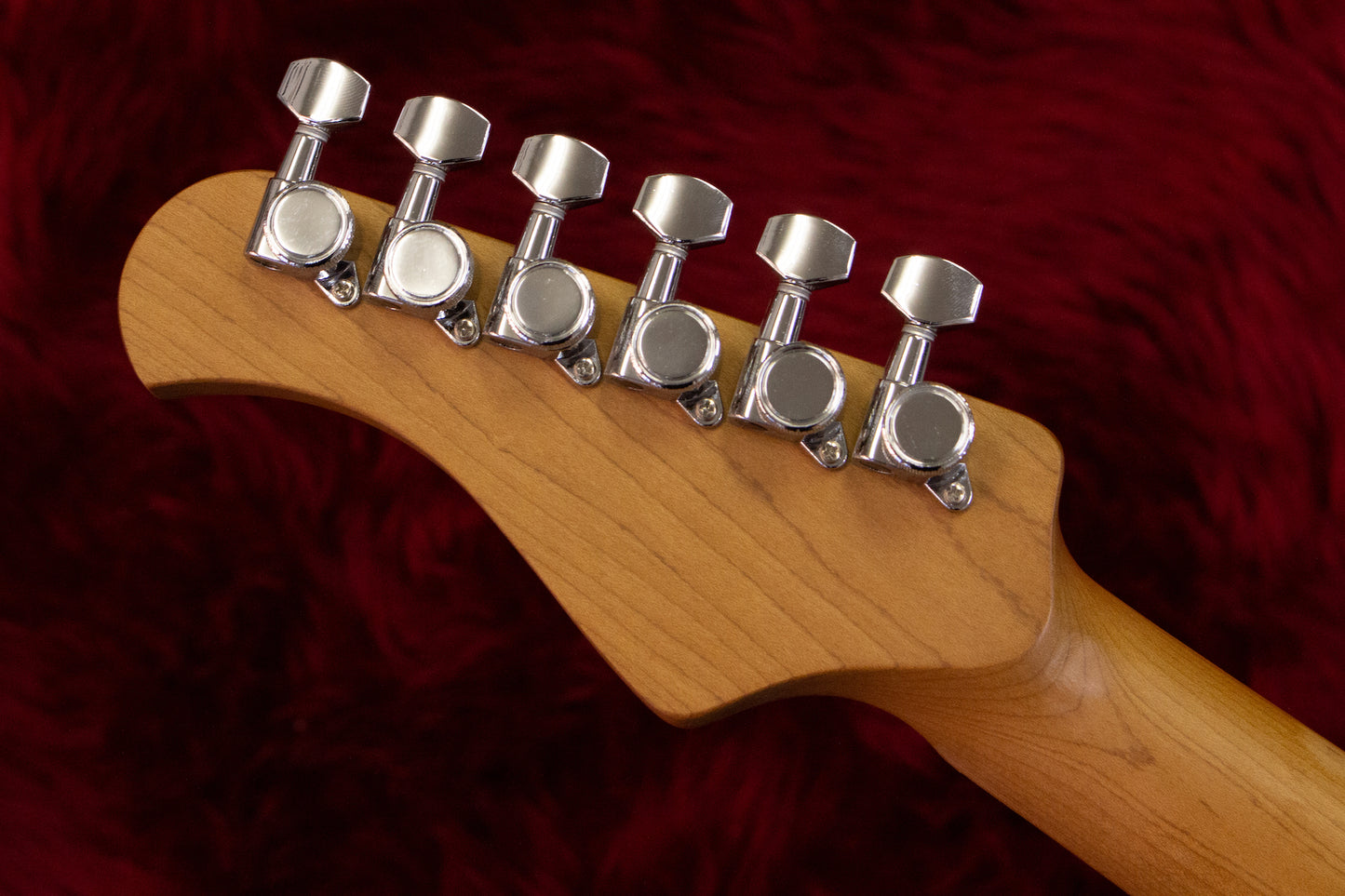 [new] Bacchus / tactics-ctm25 rsm/m AIB  [yokohama store]