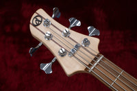 [new] dragonfly / SJ5 CUSTOM SP.CHESNUT\L.ASH 34inch #22104S 4.18kg [Yokohama store]