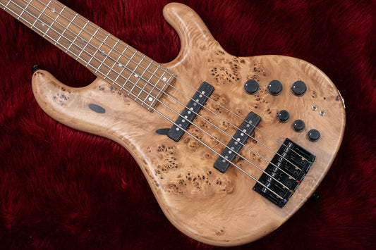 [new] dragonfly / CS5 / 345 CUSTOM GIB custom Neck #23018SE 3.86kg [Yokohama-store]